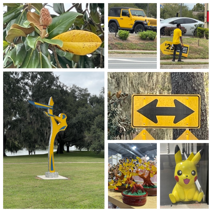 A collage from a yellow photography assignment